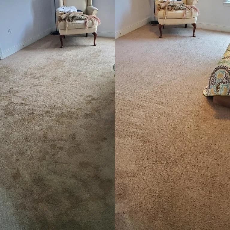 Carpet extraction before and after